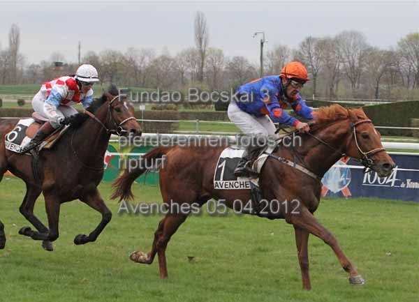 Fundao Bocskai 3 prot